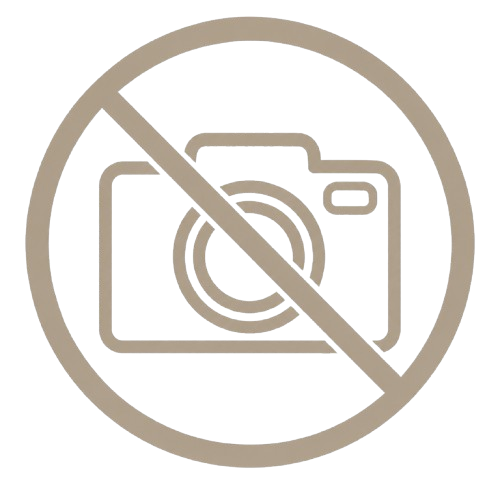 No camera